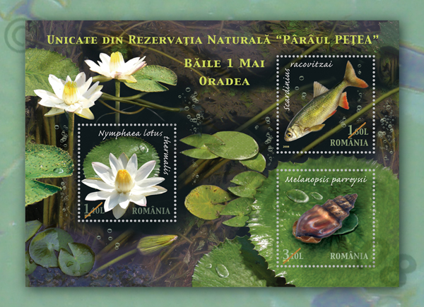 UNICATE DIN REZERVAȚIA NATURALÃ „PÂRÂUL PEȚEA“ BÃILE 1 MAI - ORADEA 1 UNICATE DIN REZERVAȚIA NATURALÃ „PÂRÂUL PEȚEA“ BÃILE 1 MAI - ORADEA