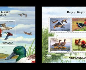 Raţe şi Gâşte Sălbatice