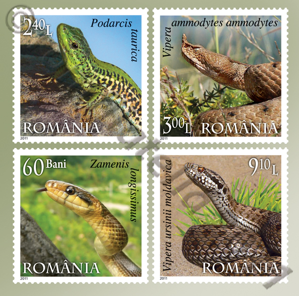 REPTILE DIN ROMÂNIA 1 REPTILE DIN ROMÂNIA