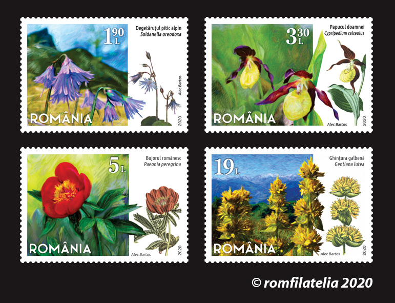 FLORI PROTEJATE DIN ROMÂNIA 1 FLORI PROTEJATE DIN ROMÂNIA