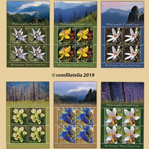 FLORILE MUNȚILOR, MUNTELE COZIA