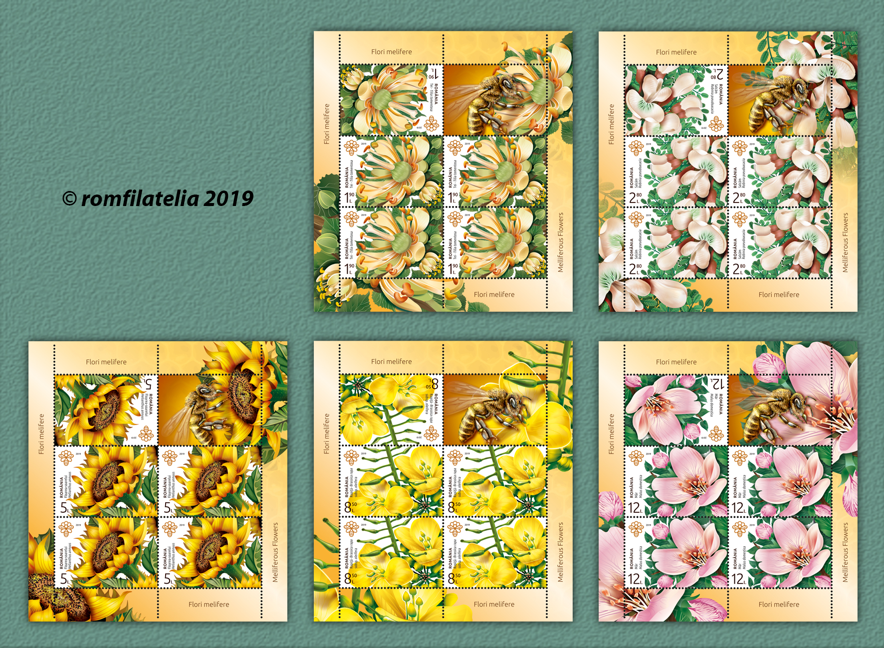 FLORI MELIFERE 1 FLORI MELIFERE