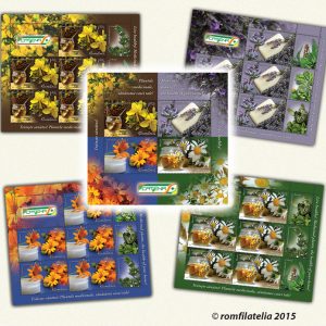 Trăieşte sănătos! Plantele medicinale, sănătatea casei tale!