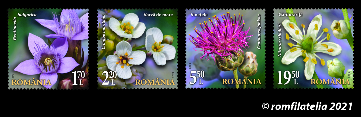 SITE_serie_Flori-din-rezervatiile-nationale