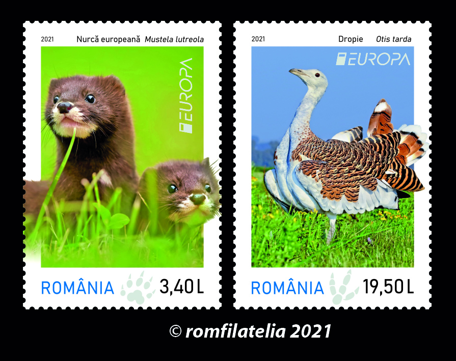 Site_serie_Europa-2021