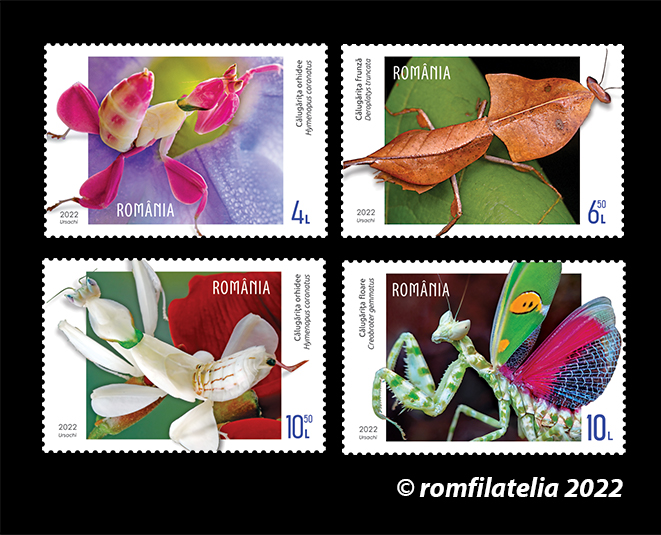 SITE_Serie_Fanteziile faunei