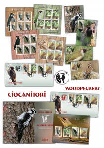 Ciocanitori_Woodpeckers