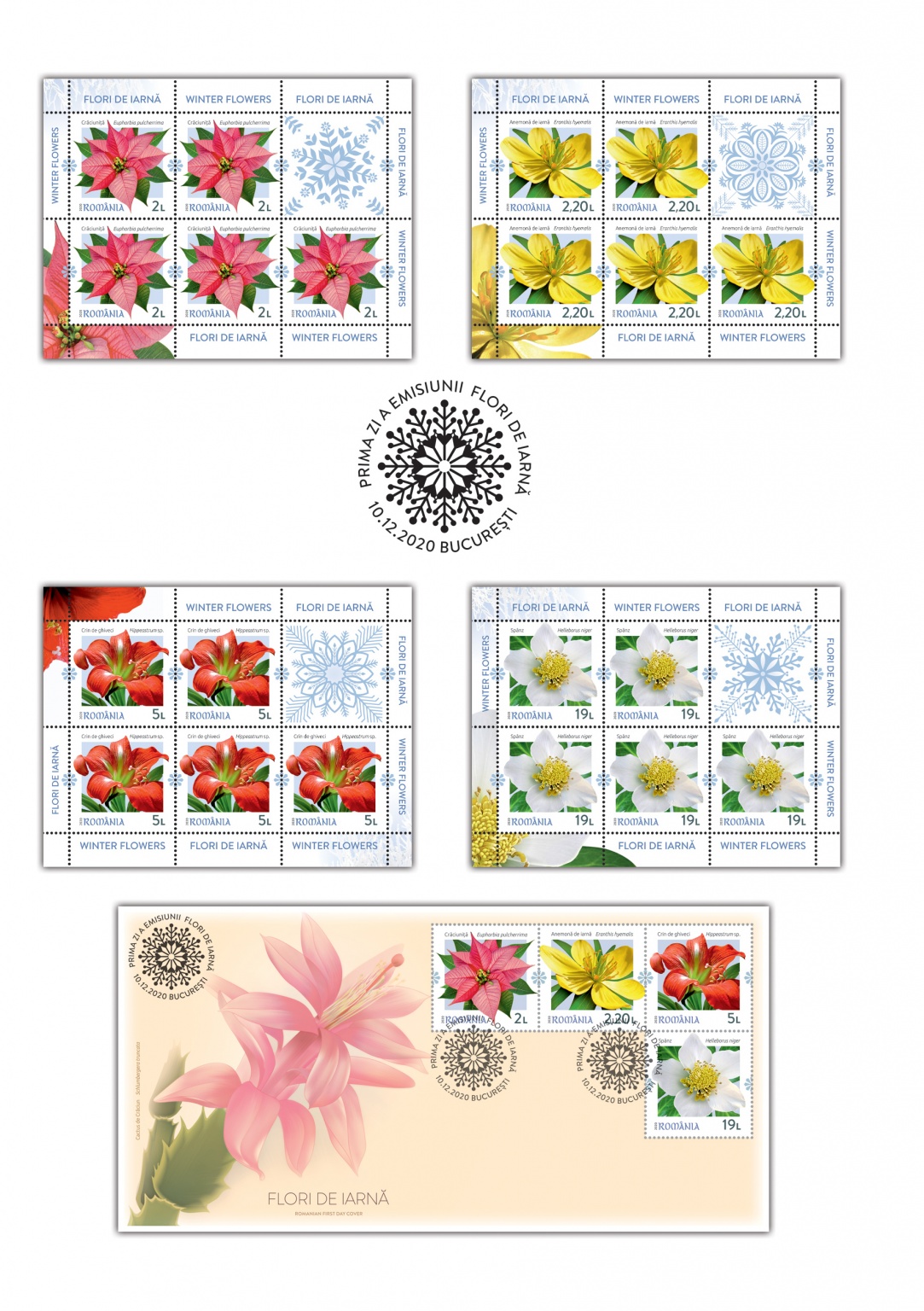 int PLIANT Flori de iarna