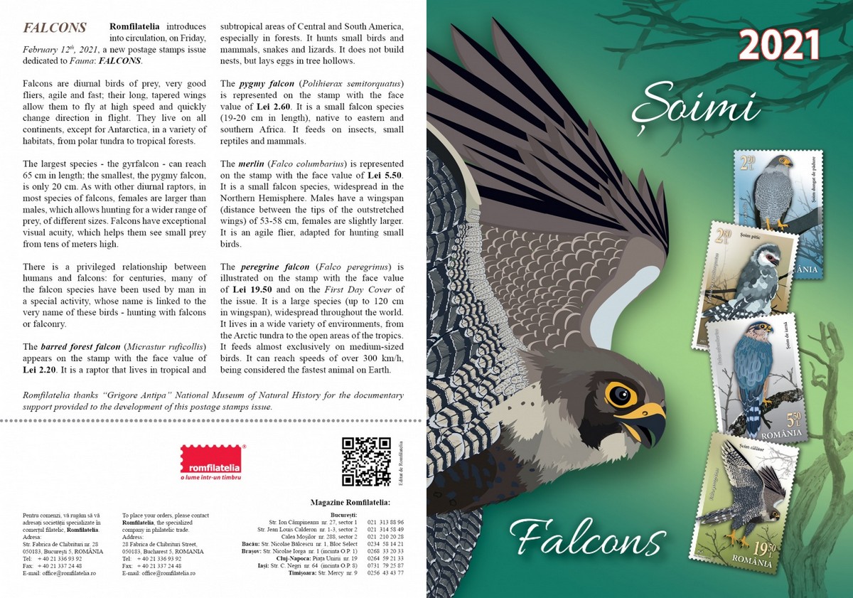 SOIMI – FALCONS