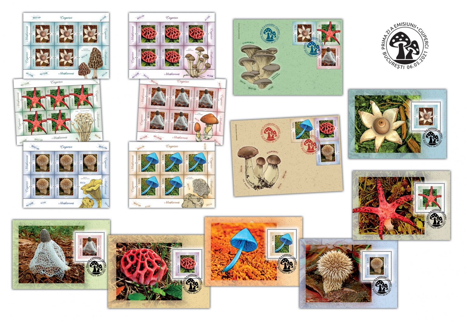 int tript mare pliant_Ciuperci