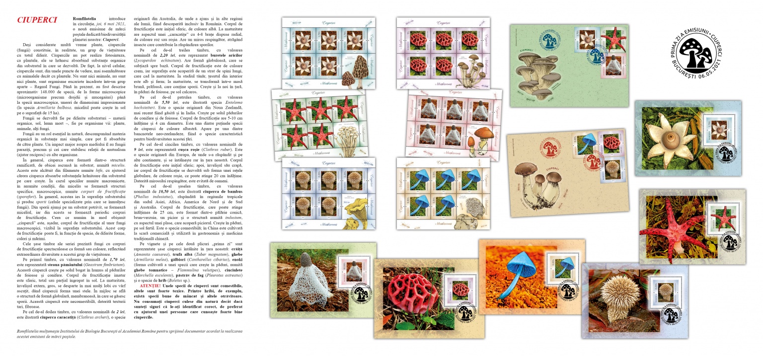 pliant Ciuperci_tript2