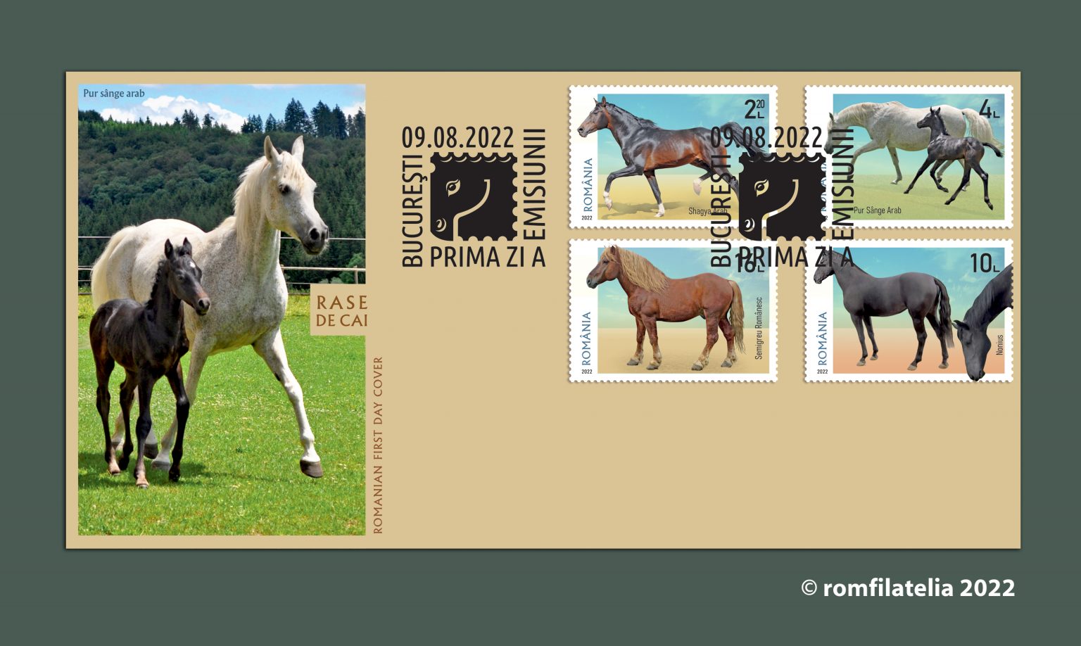 SITE_FDC_Rase de cai