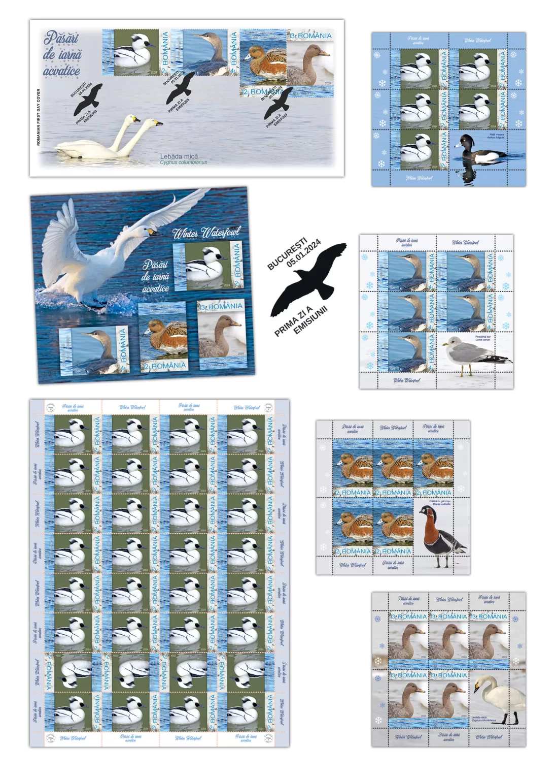 int pliant_Pasari iarna acvatice