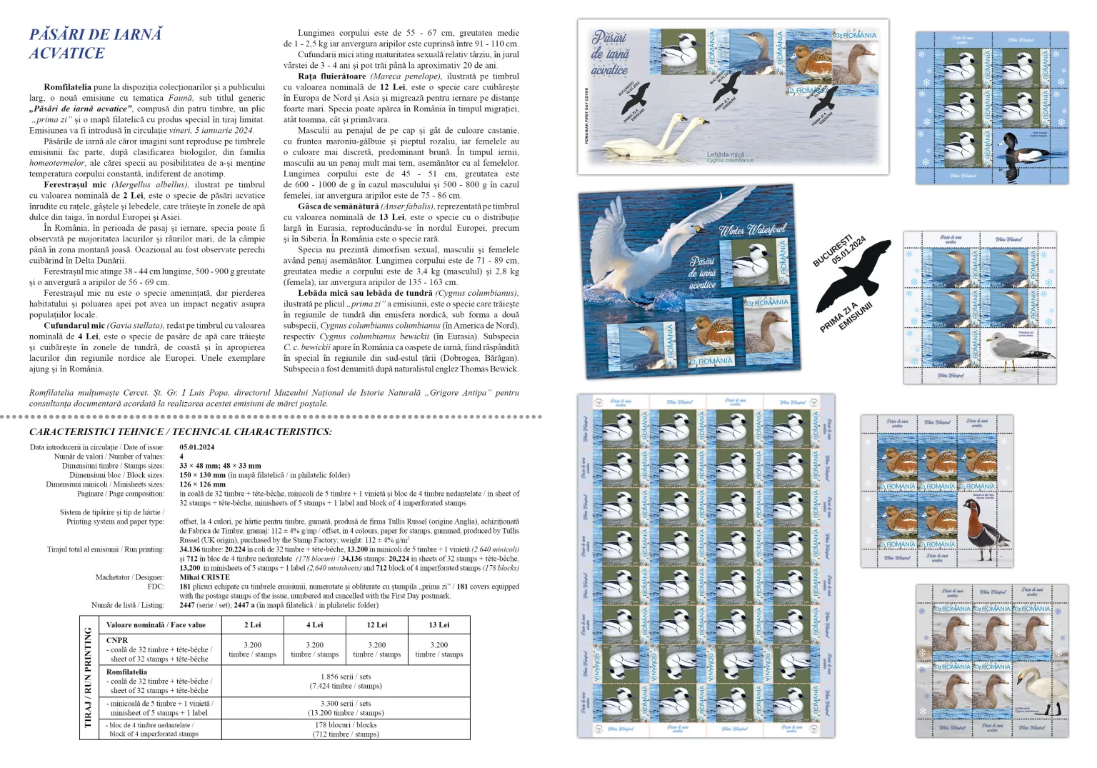 pliant_Pasari de iarna acvatice2