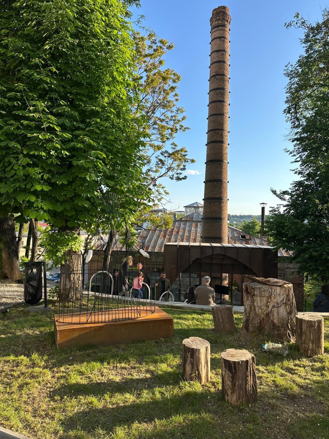 WhatsApp Image 2025-05-15 at 9.16.01 AM(8)