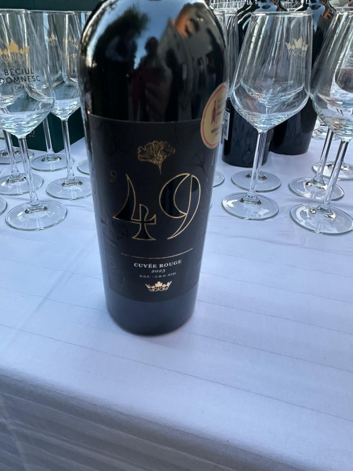 WhatsApp Image 2025-05-15 at 9.16.02 AM(4)