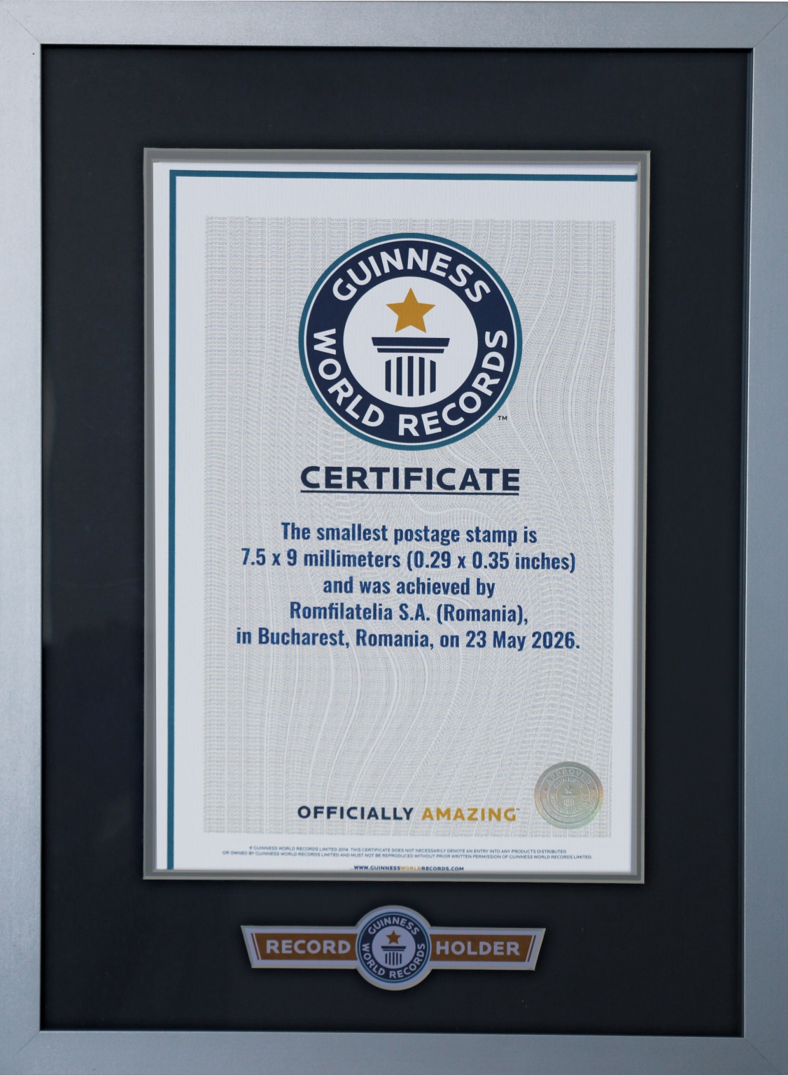 diploma record tb mic