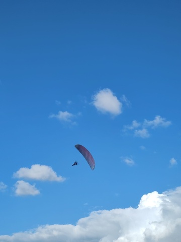 poza 10